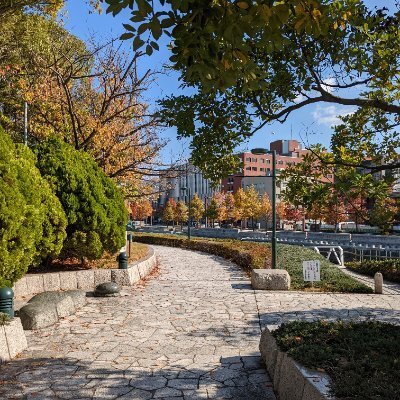 sasanqua アイコン