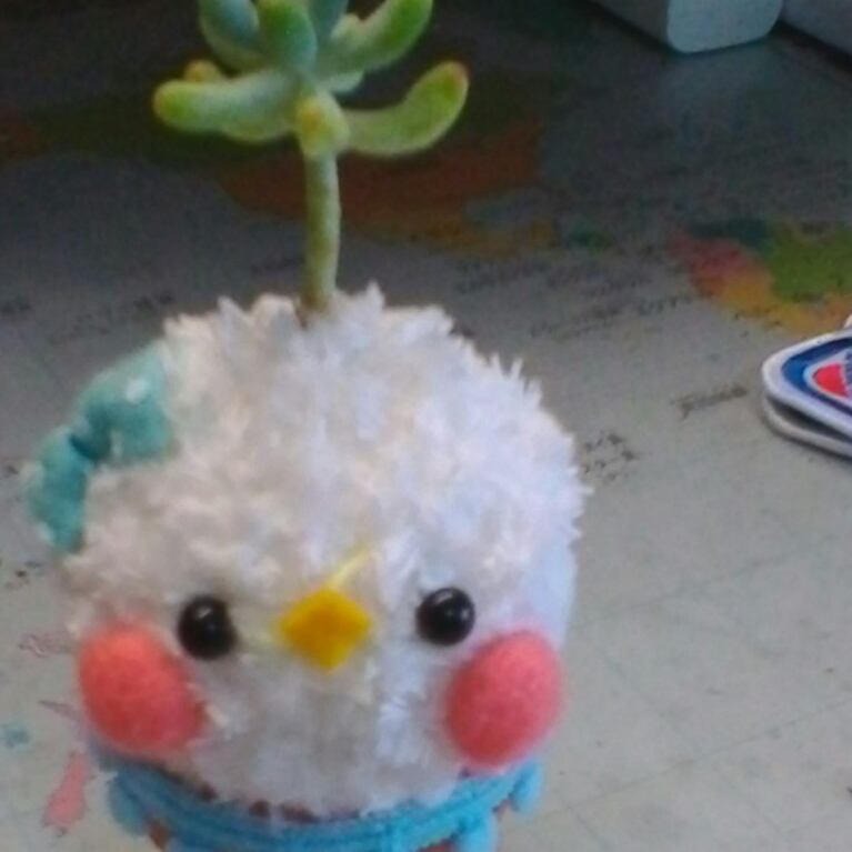 Yuma Satake アイコン